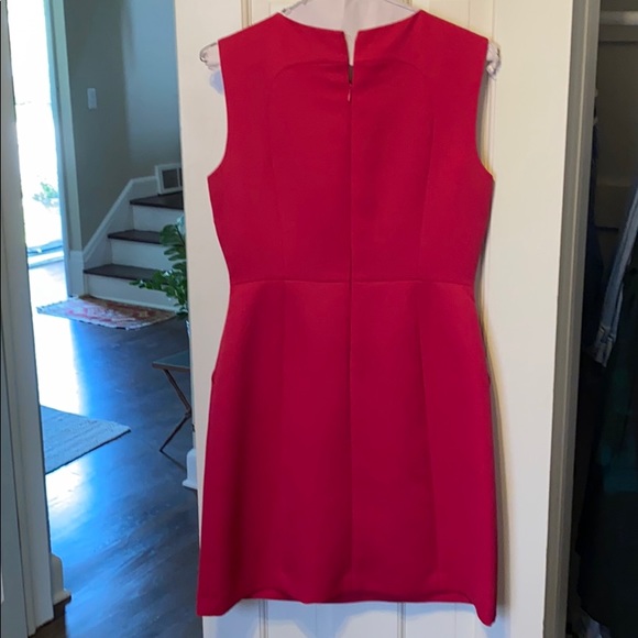 Raspberry Dress - Picture 3 of 3